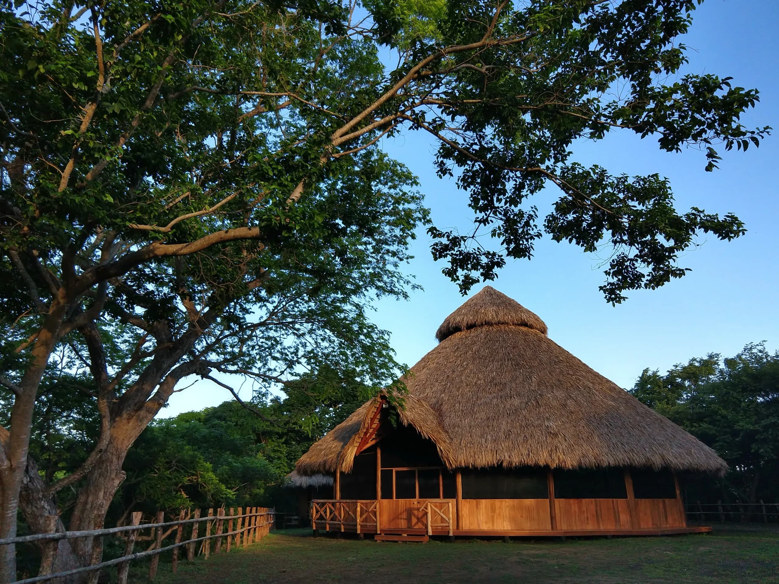 Thatched ceremony maloca surrounded by trees beneath an open sky